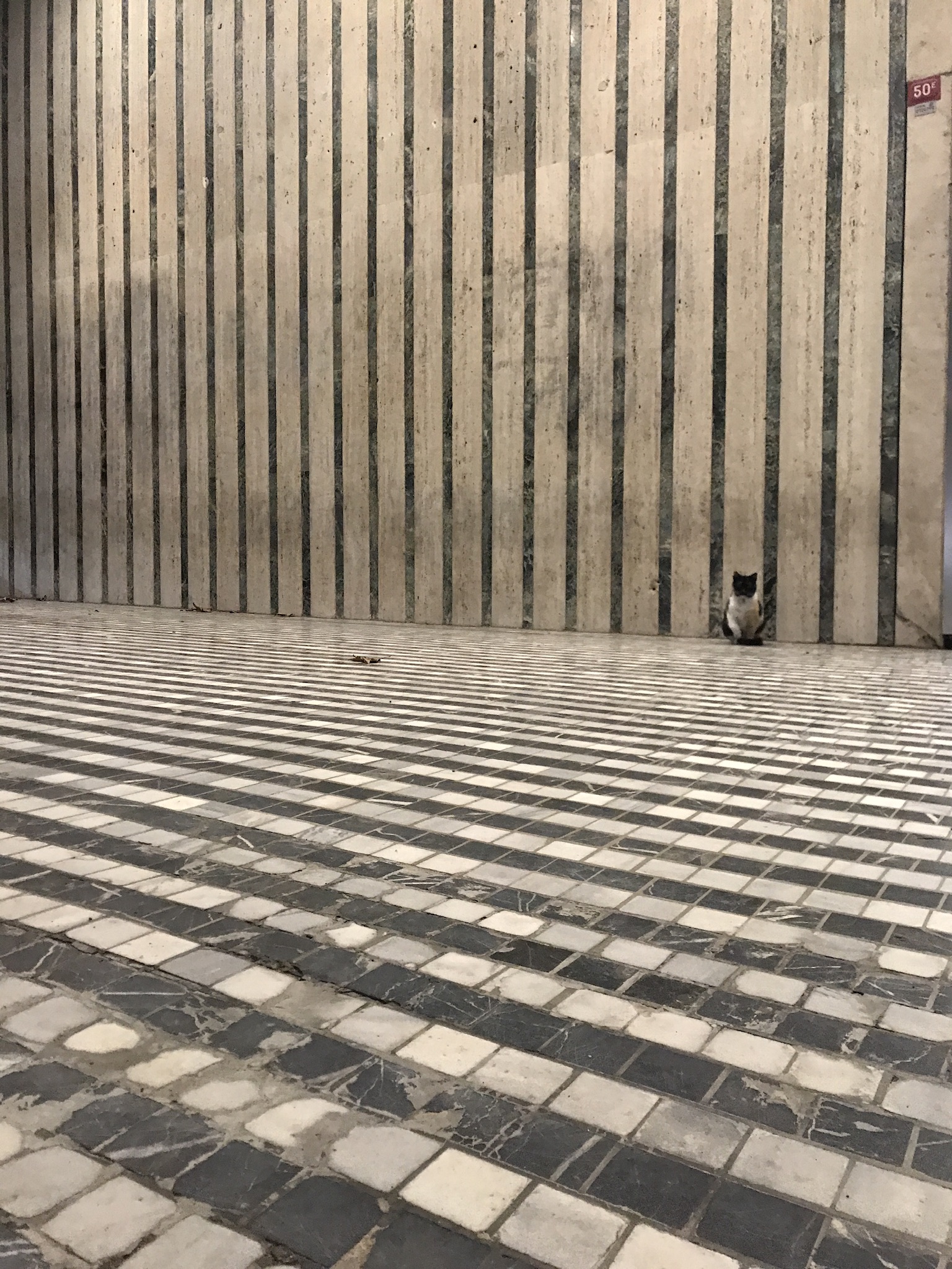 23431BB8 C564 4FB4 8D4B 280B73399CA4